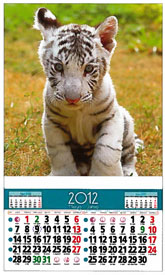 Calendarios 2012 - Descargar