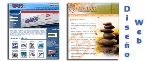 Diseño Web Personalizado